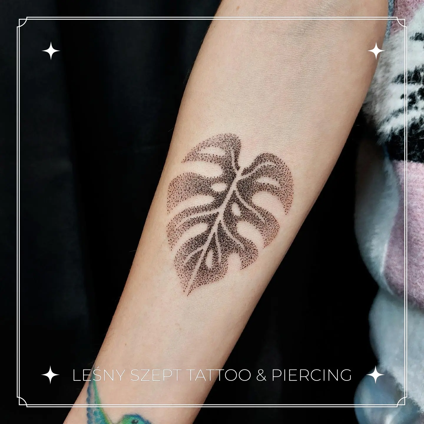 Tatuaż liścia monstery w stylu dotwork na przedramieniu