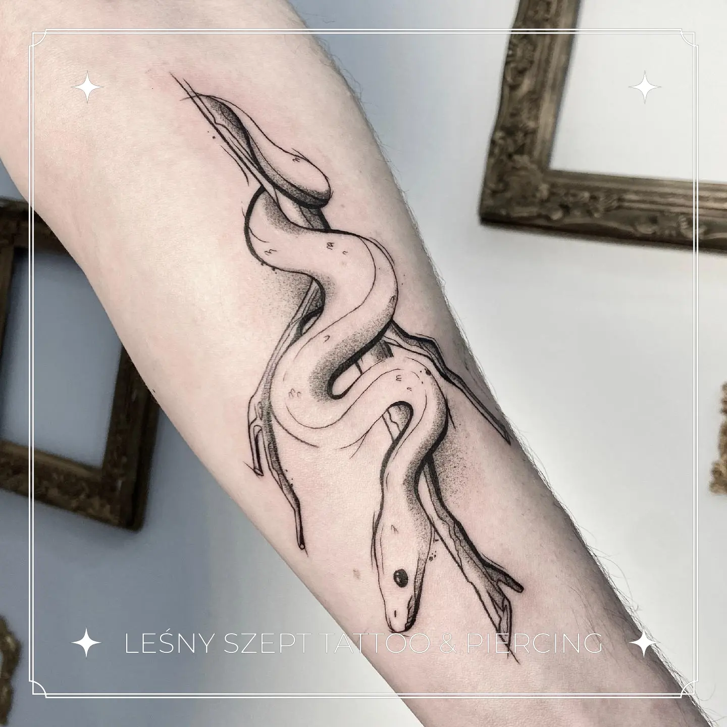 Tatuaż wijącego się węża w stylu dotwork na przedramieniu
